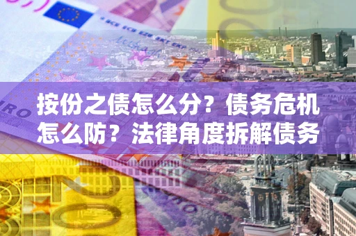 北京按份之债怎么分？债务危机怎么防？法律角度拆解债务分配与风险自保指南