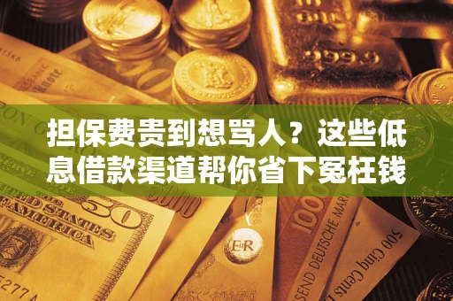 北京担保费贵到想骂人？这些低息借款渠道帮你省下冤枉钱