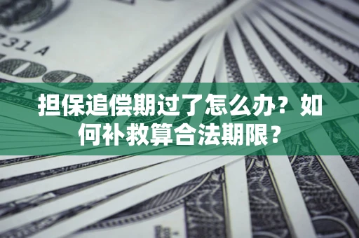 北京担保追偿期过了怎么办？如何补救算合法期限？