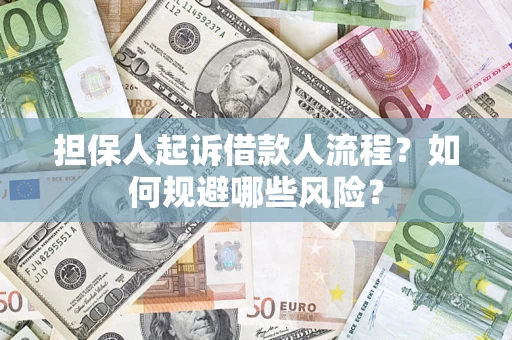 北京担保人起诉借款人流程？如何规避哪些风险？
